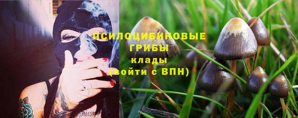 a pvp Абдулино