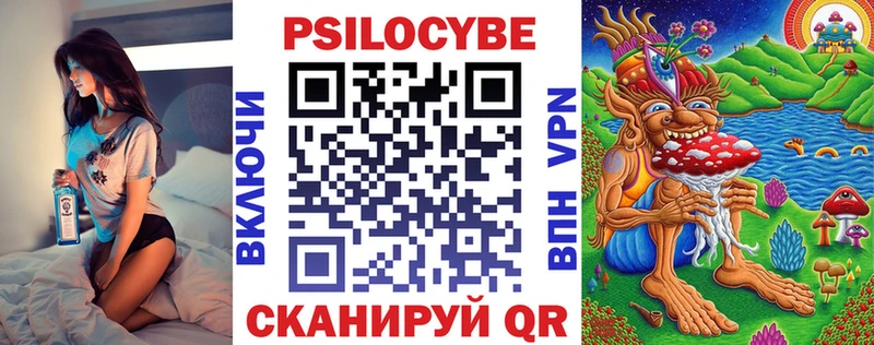 Псилоцибиновые грибы Psilocybe  Бирюсинск 
